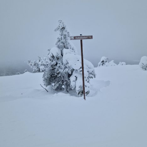 24.02.2024 Äkäslompolo