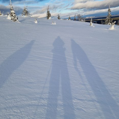 27.02.2024 Akassaivo & Kuertunturi