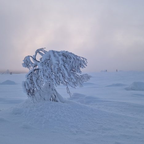 26.02.2024  Aakenustunturi